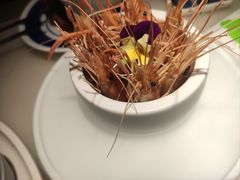 -桂满陇·桃花院落(长泰广场店)