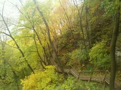 android_upload_pic-吊水壶国家森林公园