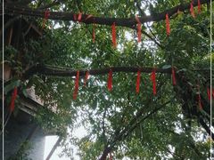 -重庆十八梯传统风貌区