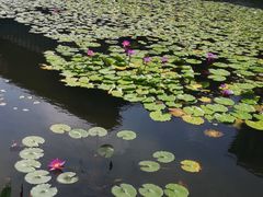 -星巴克(深圳前海企业公馆店)