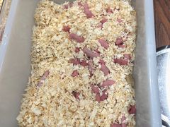 -酷以爬仙阁实体爬宠店·守宫·蜥蜴·专业繁育