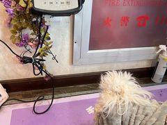 -宠爱国际动物医院·消化内科·心肾内科·ISFM猫友好(望京店)