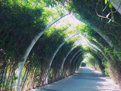 -天津东丽湖风景区