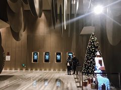 -武商摩尔影城(国广IMAX激光店)