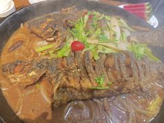 -老板恋上鱼(高新万达店)
