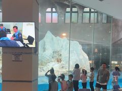 -帝企鹅自助餐厅•儿童岛•真企鹅(长隆企鹅酒店)