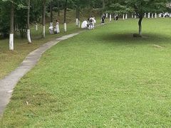 -北岐滩涂