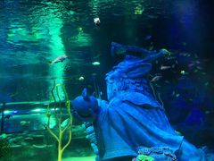 -沈阳海洋探索中心