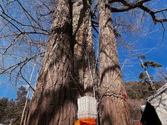 -潭柘寺景区