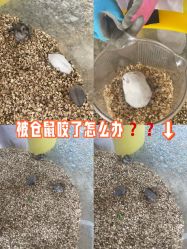 -首都医科大学附属北京儿童医院