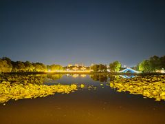 -长春市南湖公园