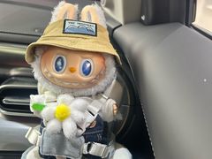 -上海浦东smart汽车全功能店(金桥店)