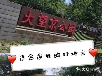 来大望京公园遛遛熊孩子趴