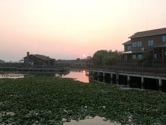 -新木器时代餐厅(太湖新天地店)
