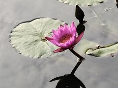 -云溪植物园