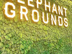 -大象园ELEPHANT GROUNDS(万象天地店)