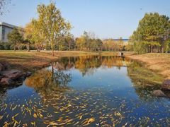 -东南大学(九龙湖校区)
