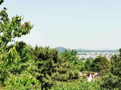 -北京西山国家森林公园