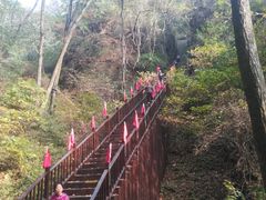 -天女山森林公园