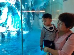 -帝企鹅自助餐厅•儿童岛•真企鹅(长隆企鹅酒店)