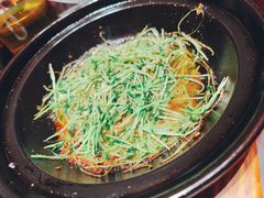 -鸽子侯·家宴·平价海鲜(市图书馆店)