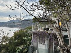 -北岐滩涂