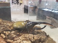 -燕莎友谊商城(亮马桥店)