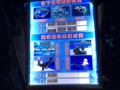 -泉城欧乐堡海洋极地世界