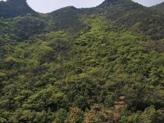 -郧西五龙河风景区