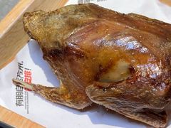 -鼎原力量东北吊炉烧烤(临河街店)