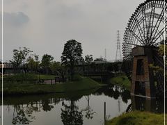 -王借岗森林公园