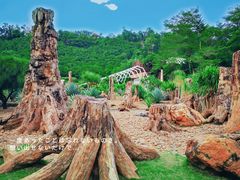 -深圳仙湖植物园