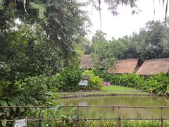 -大象粑粑造纸公园