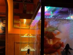 -無名记忆Music Bar夜景怀旧酒吧