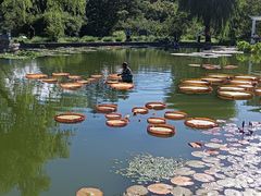 -国家植物园南园