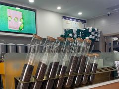 -雾与山茶(大禹城店)