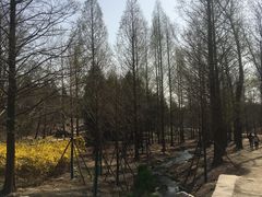 -白水寺森林公园
