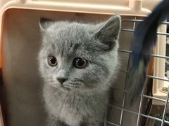 -宠颐生中康贝怡动物医院