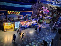 -烟台海昌鲸鲨海洋公园