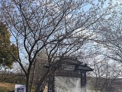 -凤凰沟景区