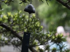 -扫雪煮茶(西村店)
