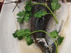 -云顶山庄·粤菜·农家菜(共和店)