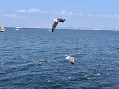 -大连海昌东方水城