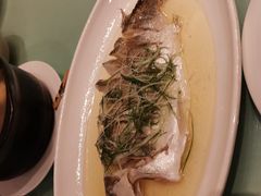 -同济大酒店(绿宝广场店)