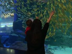 -成都浩海立方海洋公园