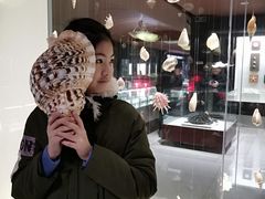 -青岛贝壳博物馆