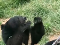 -大连森林动物园