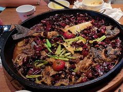 -老板恋上鱼(恒隆广场店)