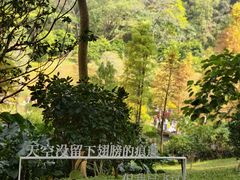 -云溪植物园