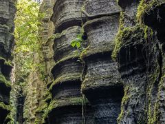 -梭布垭石林景区